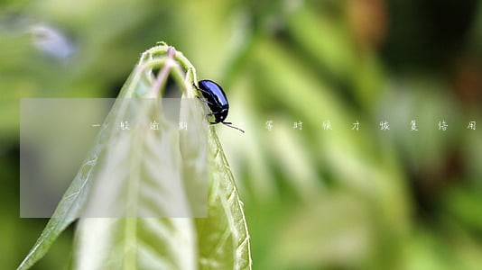 一般逾期一次等时候才恢复信用 一般逾期一次等时候才恢复信用