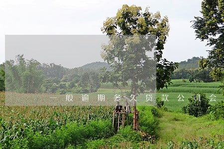 一般逾期多久贷款公司会催
