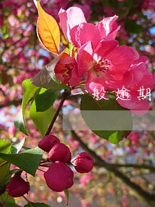 一般逾期怎么解决的 一般逾期怎么解决的