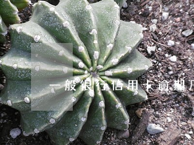 一般银行信用卡逾期几天上征信