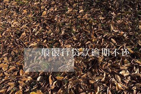 一般银行贷款逾期不还 一般银行贷款逾期不还
