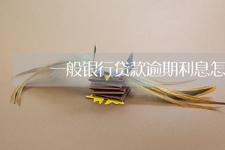 一般银行贷款逾期利息怎样计