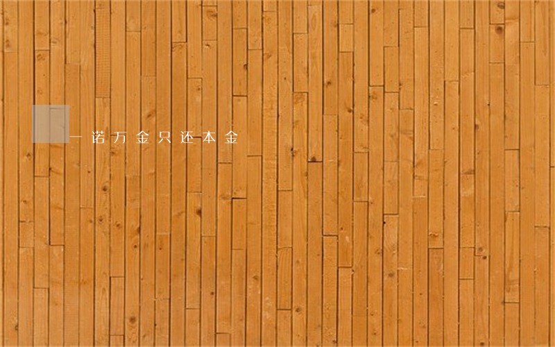 一诺万金只还本金 一诺万金只还本金