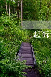 一起诉讼引发争论 一起诉讼引发争论