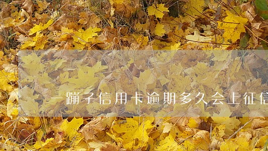 一蹦子信用卡逾期多久会上征信 一蹦子信用卡逾期多久会上征信