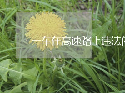 一车在高速路上违法停车 一车在高速路上违法停车