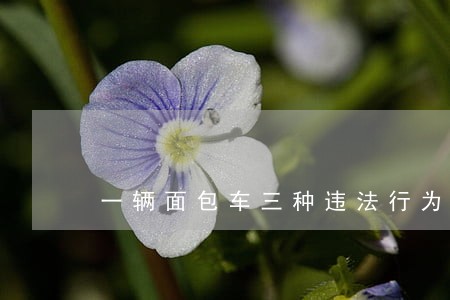 一辆面包车三种违法行为 一辆面包车三种违法行为