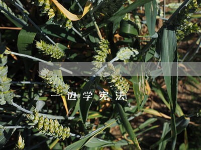 一边学宪法