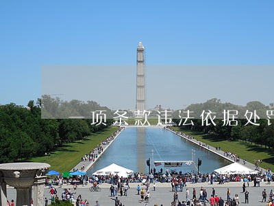 一项条款违法依据处罚依据 一项条款违法依据处罚依据