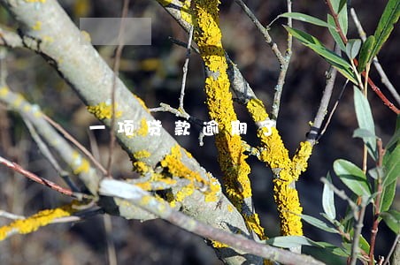 一项贷款逾期了 一项贷款逾期了