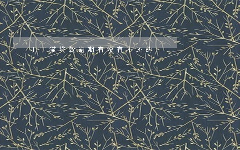 丁丁猫贷款逾期有没有不还的 丁丁猫贷款逾期有没有不还的