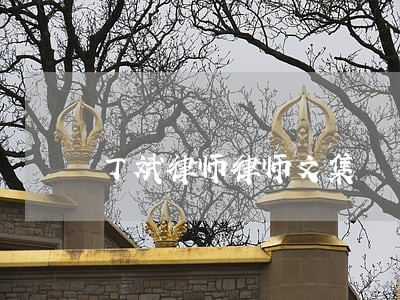 丁斌律师律师文集 丁斌律师律师文集