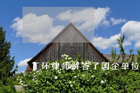 丁环律师解答了国企单位 丁环律师解答了国企单位