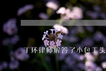 丁环律师解答了小包工头拖欠工资 丁环律师解答了小包工头拖欠工资