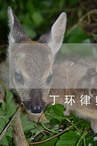 丁环律师解答了我和老公协议离婚 丁环律师解答了我和老公协议离婚