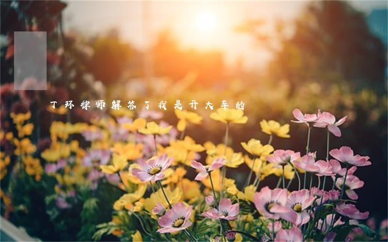 丁环律师解答了我是开大车的 丁环律师解答了我是开大车的