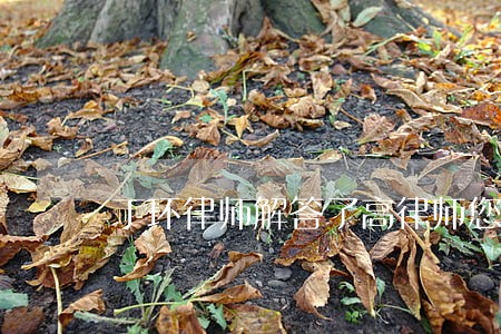 丁环律师解答了高律师您好 丁环律师解答了高律师您好