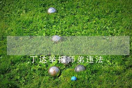 丁达举报师弟违法 丁达举报师弟违法
