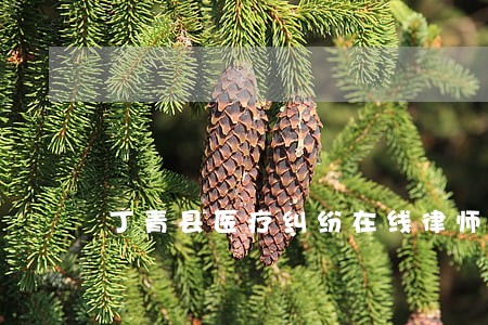 丁青县医疗纠纷在线律师 丁青县医疗纠纷在线律师