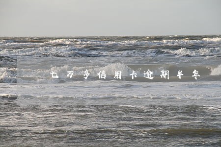 七万多信用卡逾期半年 七万多信用卡逾期半年