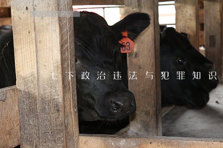 七下政治违法与犯罪知识树 七下政治违法与犯罪知识树