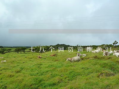 七八个网贷逾期两月 七八个网贷逾期两月
