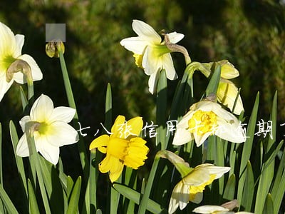 七八张信用卡都逾期了后怎么样 七八张信用卡都逾期了后怎么样