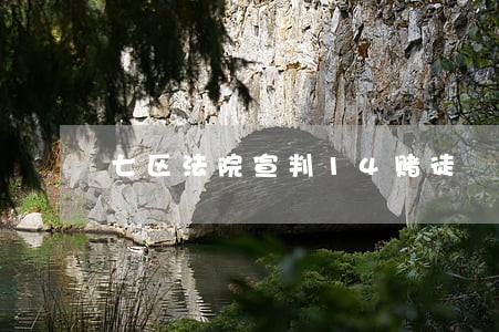 七区法院宣判14赌徒