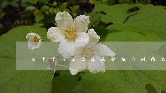 七十岁以上违法法律起不到约束作用 七十岁以上违法法律起不到约束作用