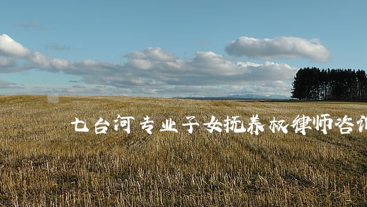 七台河专业子女抚养权律师咨询 七台河专业子女抚养权律师咨询