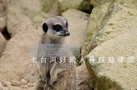 七台河好的人身权益律师 七台河好的人身权益律师
