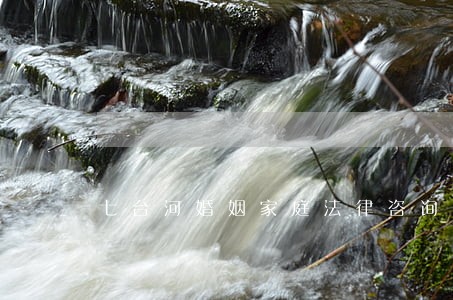 七台河婚姻家庭法律咨询 七台河婚姻家庭法律咨询
