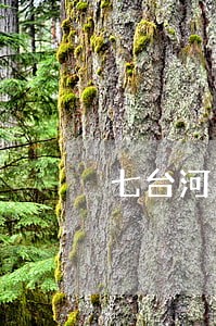 七台河岳志军法律援助