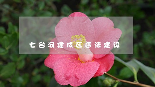 七台河建成区违法建设