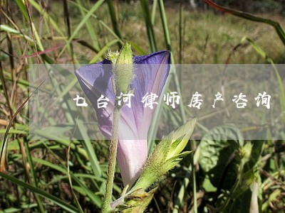 七台河律师房产咨询 七台河律师房产咨询