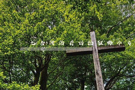 七台河治疗诉讼狂哪个专家好 七台河治疗诉讼狂哪个专家好