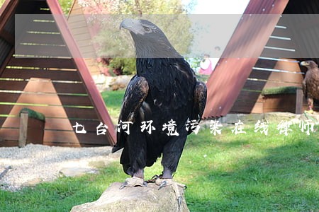 七台河环境污染在线律师咨询 七台河环境污染在线律师咨询