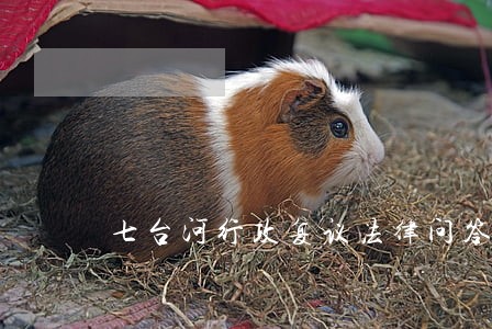 七台河行政复议法律问答 七台河行政复议法律问答