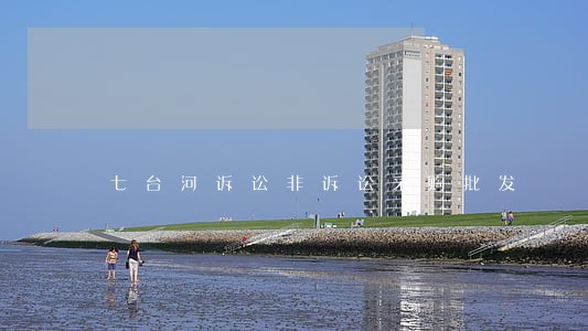 七台河诉讼非诉讼采购批发 七台河诉讼非诉讼采购批发
