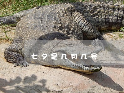 七夕是几月几号 七夕是几月几号