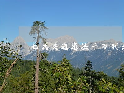 七大交通违法千万别去碰 七大交通违法千万别去碰