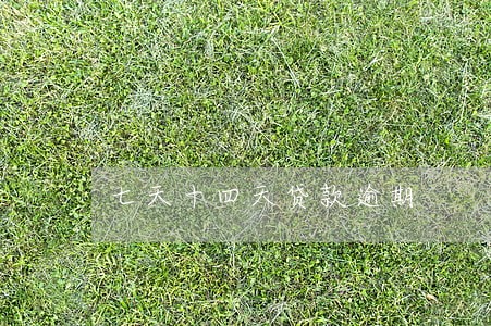 七天十四天贷款逾期