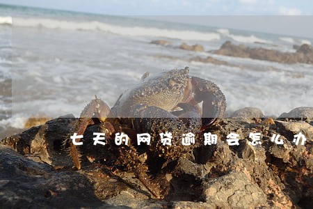 七天的网贷逾期会怎么办 七天的网贷逾期会怎么办