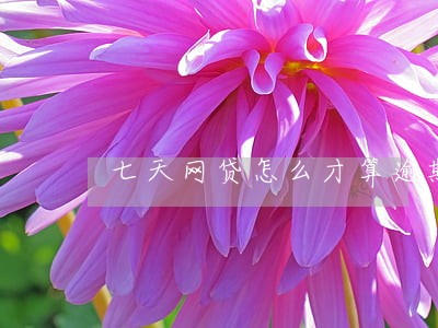 七天网贷怎么才算逾期 七天网贷怎么才算逾期