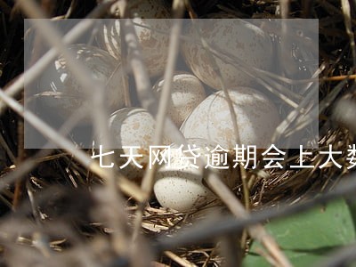 七天网贷逾期会上大数据吗 七天网贷逾期会上大数据吗