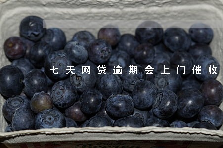 七天网贷逾期会上门催收吗 七天网贷逾期会上门催收吗
