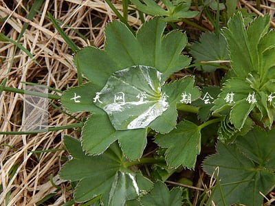 七天网贷逾期会锁银行卡吗 七天网贷逾期会锁银行卡吗