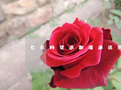 七天网贷逾期爆通讯录都有哪些 七天网贷逾期爆通讯录都有哪些