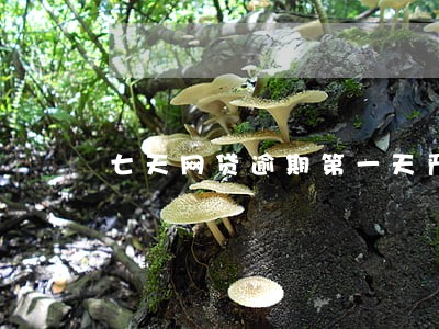 七天网贷逾期第一天严重么 七天网贷逾期第一天严重么
