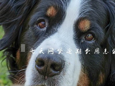 七天网贷逾期费用怎么算 七天网贷逾期费用怎么算